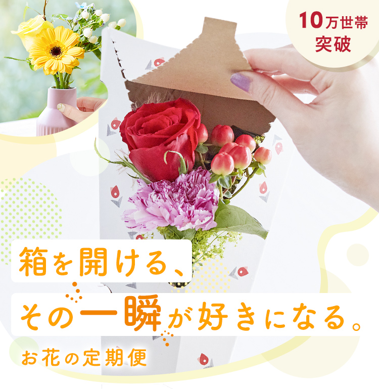 ブルーミー（bloomee）ときめきが続く、お花の定期便 | お花のサブスク